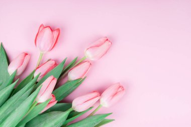 Pembe arka plan kopyalama boşluğunda pembe laleler