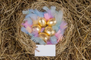 Yuvasında renkli tüyleri olan altın yumurtalar ve bir not, üst manzara. Paskalya kavramı.