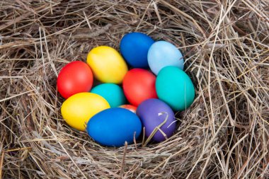 Samanlıktaki bir yuvada çok renkli yumurtalar. Paskalya kavramı.