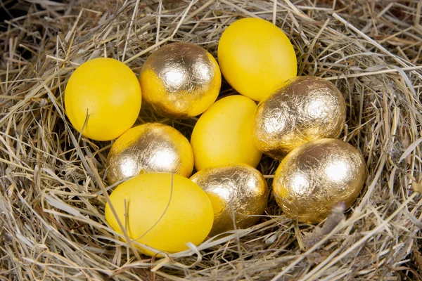 Golden and yellow eggs in a nest top view. Concept easter.