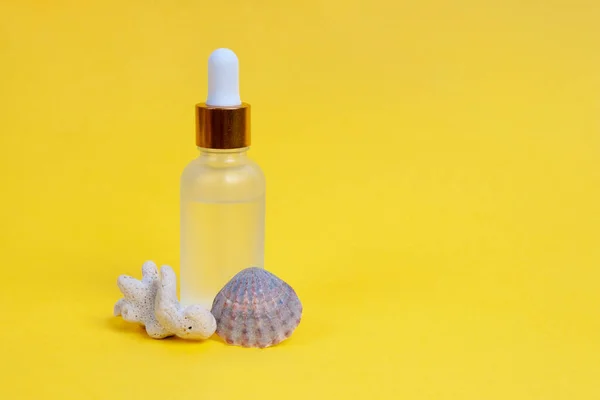Sarı zemin üzerinde deniz kabuğu ve mercan olan cam bir şişede yüz bakımı. Cilt bakımı kavramı.