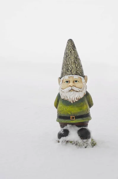 Gnomo con traje verde y sombrero en el campo de campo de pie en nieve blanca pura —  Fotos de Stock