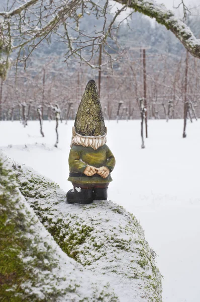 Gnome met behulp van de achterkant op zoek naar bossen staande op besneeuwde tak — Stockfoto