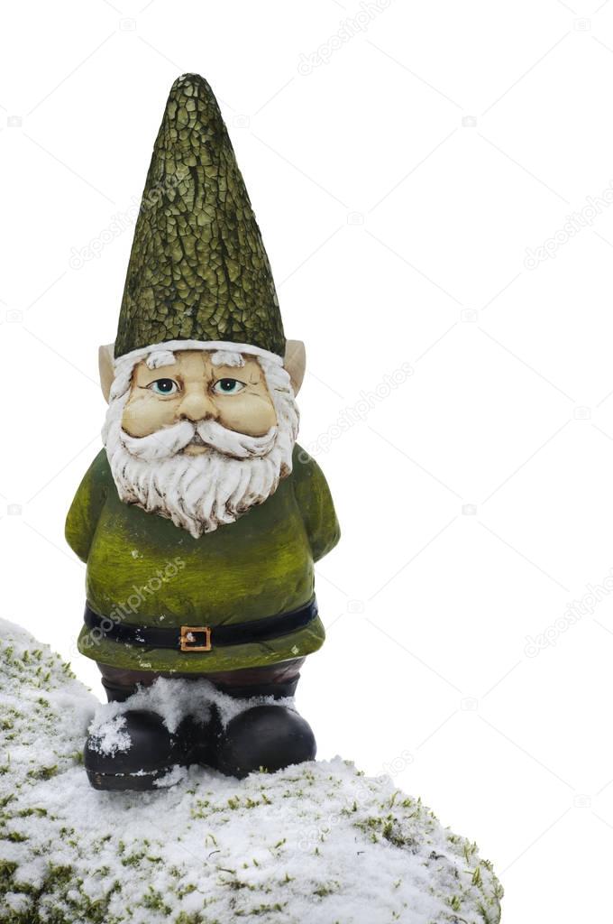 Gnome standing on tree branch with snow and no background