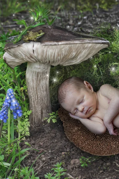 婴儿新生儿精灵睡在蘑菇下与仙女在仙境 — 图库照片