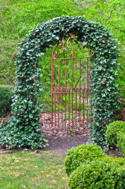 Ferforje kapı içinde sarmaşık kaplı 