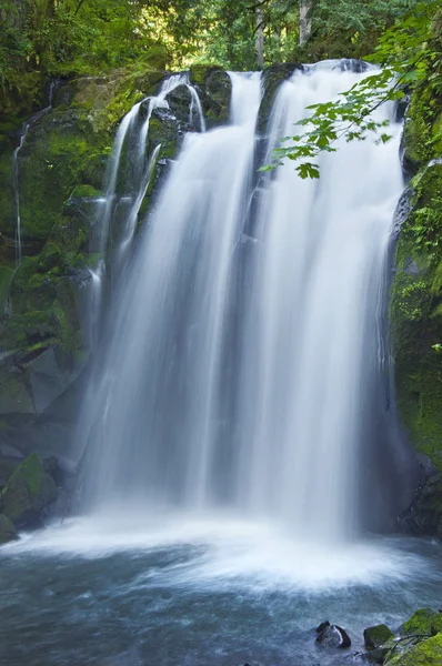 Närbild av majestätiska faller vattenfall kaskad över mossiga stenar i Mcdowell Park, Oregon — Stockfoto