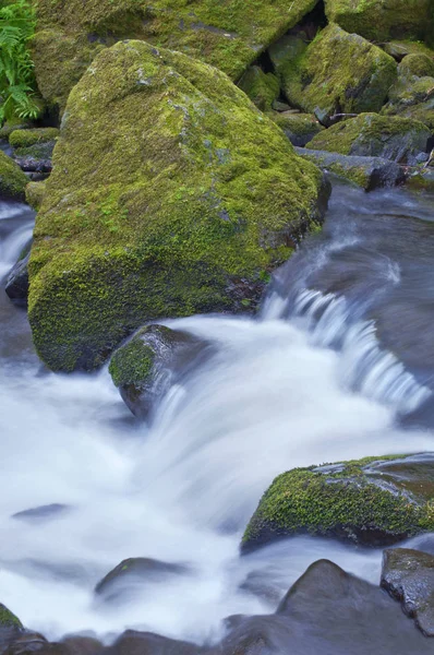 Stora mossiga stenar med rusande strömmande vatten — Stockfoto