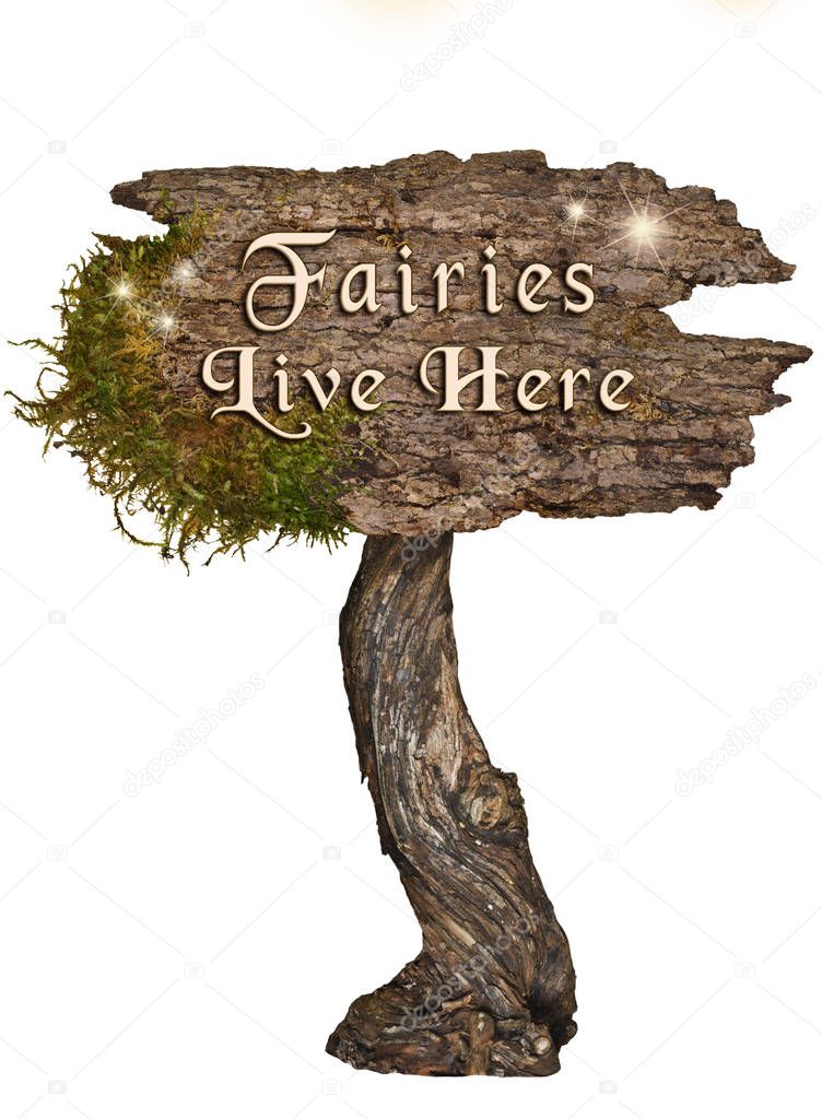 Aged natural wood sign with letters Fairies Live Here