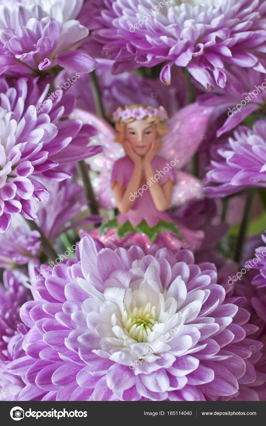 Flower Fairy Garden Flower Fairy Hidden Aster Flowers Garden