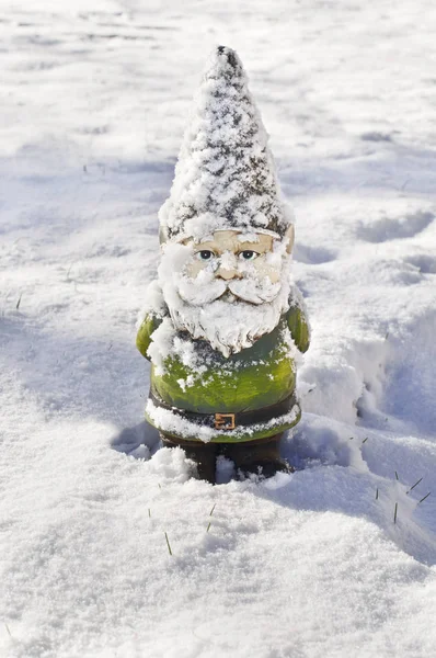 Gnome Met Sneeuw Die Betrekking Hebben Zijn Lichaam Koude Winter — Stockfoto