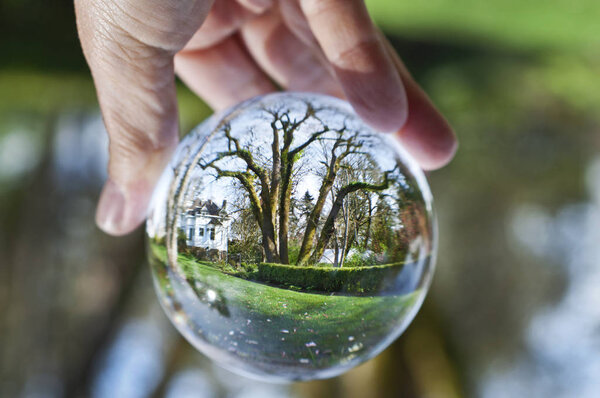 Хрустальный шар открывает древнее дерево в открытом саду
