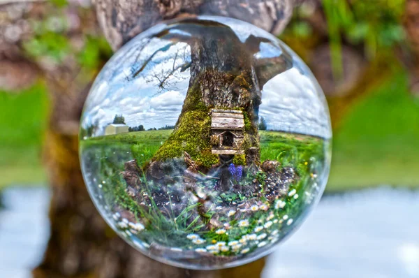 Esfera Bola Vidro Cristal Revela Casa Fadas Frente Árvore Maçã Imagem De Stock