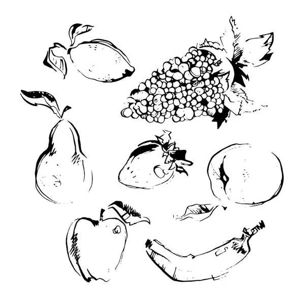 Ilustración vectorial. Conjunto de diferentes frutas extraídas a mano — Archivo Imágenes Vectoriales