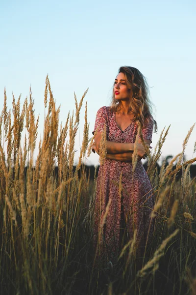 Mulher bonita no campo no pôr do sol de verão — Fotografia de Stock