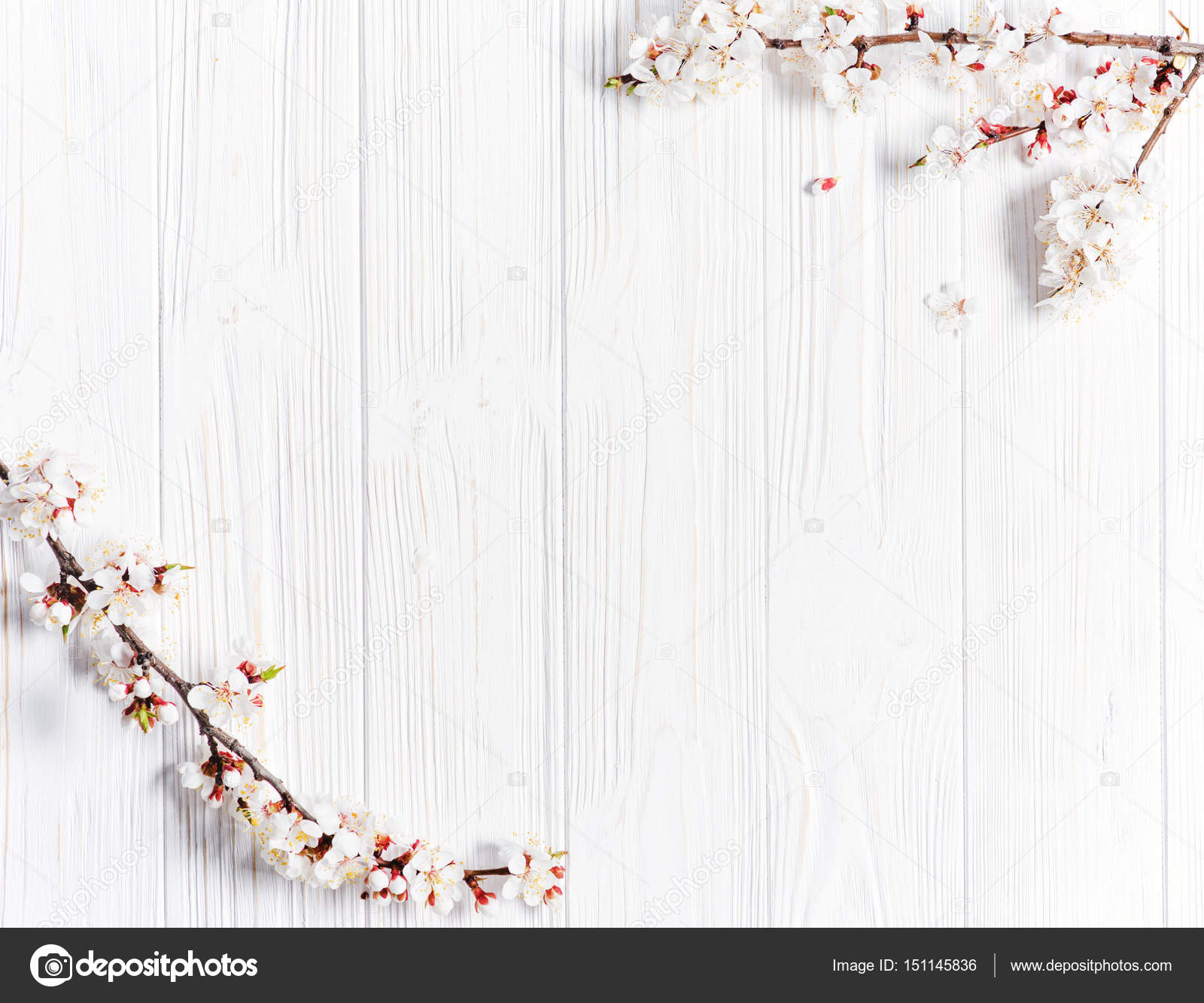 Spring white flowers on vintage wooden background Stock Photo by ©Ablozhka  151145836
