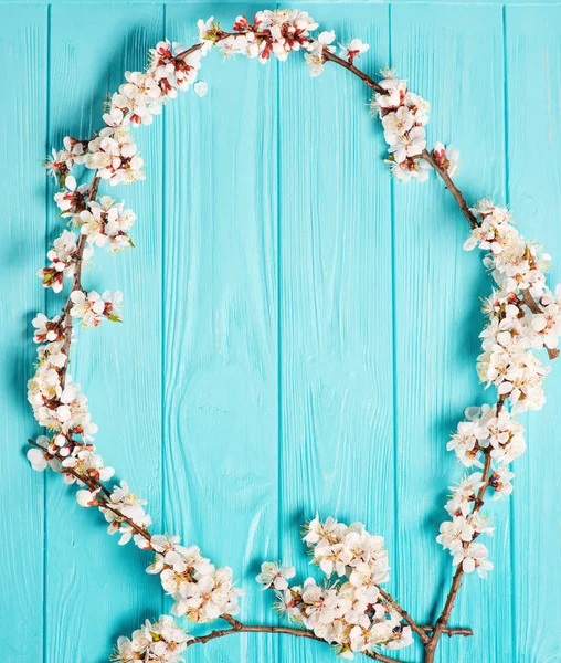 Spring blossom on blue background — Stock Photo, Image