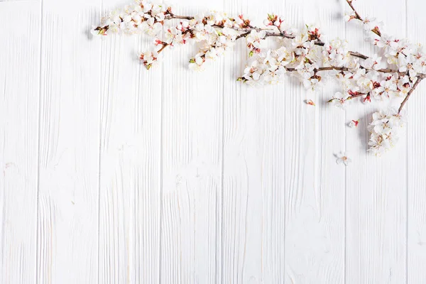 Spring white flowers on vintage wooden background — Stock Photo, Image