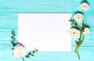 Işık nane arka plan beyaz Düğünçiçeği çiçekli