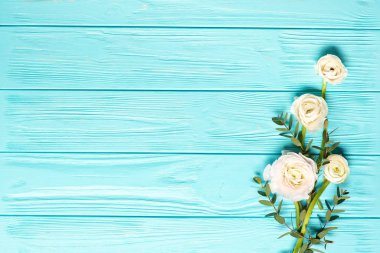 Düğünçiçeği çiçekli mavi arka plan