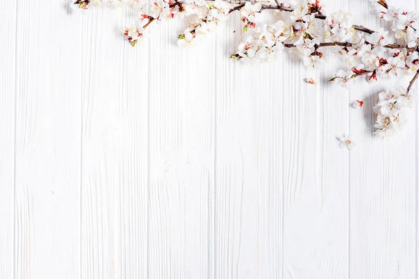 빈티지 나무 바탕에 흰 꽃을 봄 — 스톡 사진