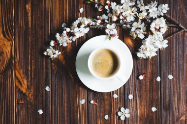 Kayısı bahar çiçekleri ve kahve fincanı