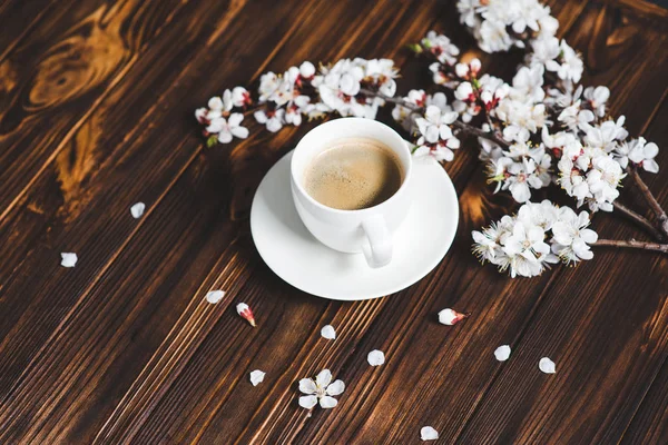 Apricot spring flowers and coffee cup — Stock Photo, Image