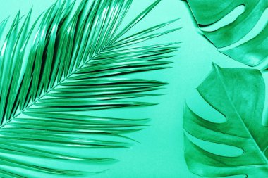 Nane arkaplanda tropik palmiye yaprağı ve canavar.