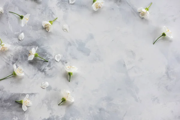 Spring flowers cherry blossom on marble background. — 스톡 사진