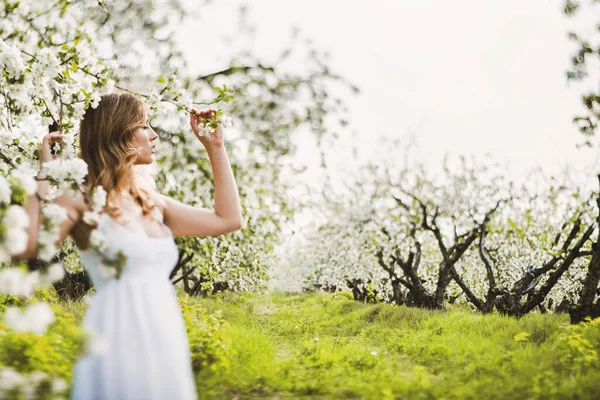 Bella donna sognante nel giardino di mele in fiore . — Foto Stock