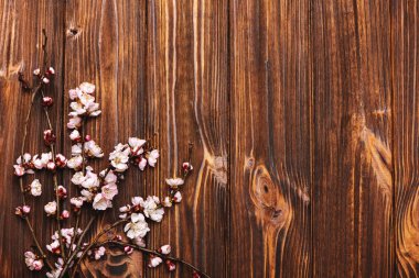 Eski ahşap zemin üzerinde bahar pembe çiçekleri metin için boşluk ile.