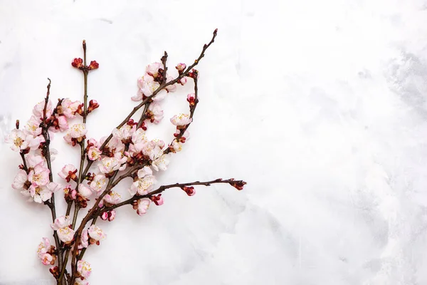 흰색 대리석 배경에 복사 공간 이 있는 봄 분홍빛 꽃. — 스톡 사진