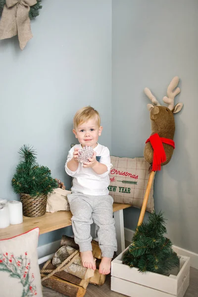Jeune garçon jouant avec le cerf jouet dans la chambre décorée de Noël — Photo