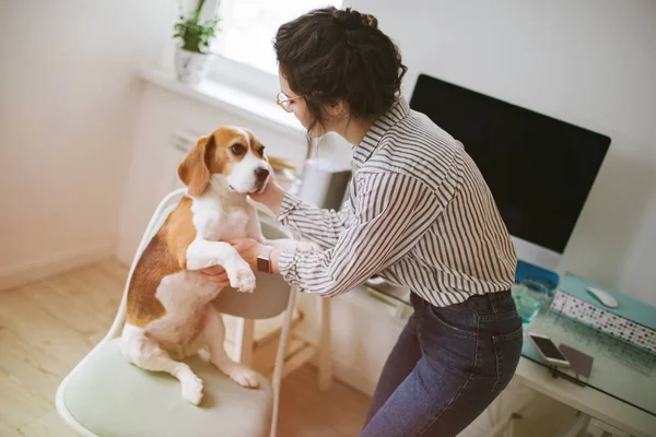 Joven hermosa mujer en gafas acariciando perro beagle en casa — Foto de Stock