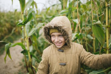 Mısır tarlası gülümseyen içinde gözlük küçük çocuk