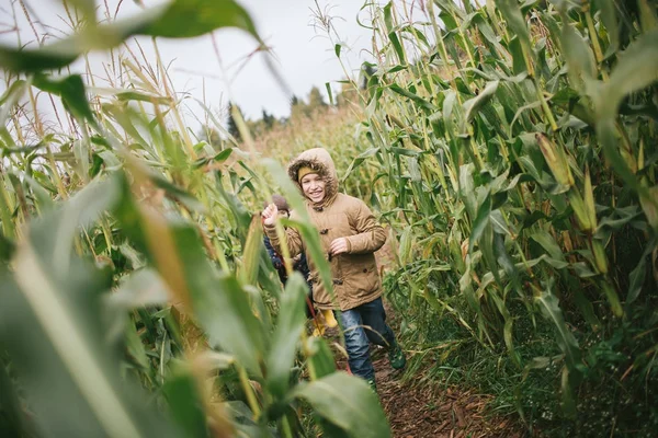 Little boys with beagle in the cornfield — Stock Photo, Image
