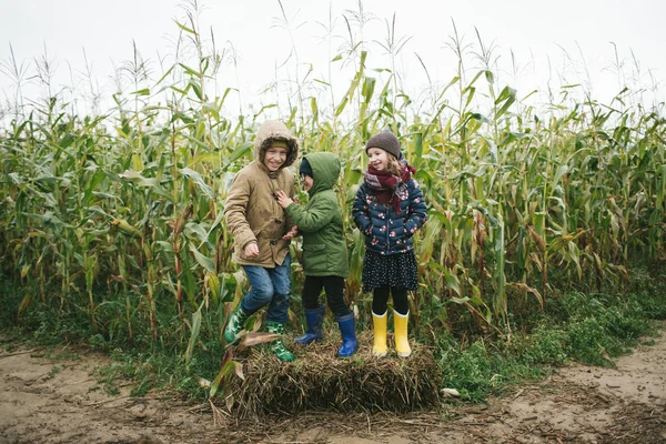 Zwei kleine Geschwister stehen lächelnd im Maisfeld — Stockfoto