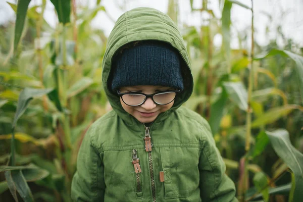 Kleiner Junge mit Brille im Maisfeld lächelt — Stockfoto
