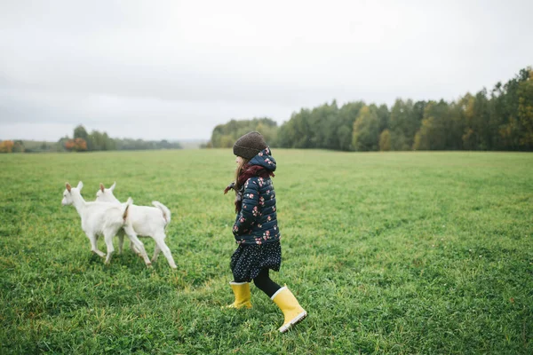 Gyerek, játék-val kecske-sajt-farmon szabadban — Stock Fotó