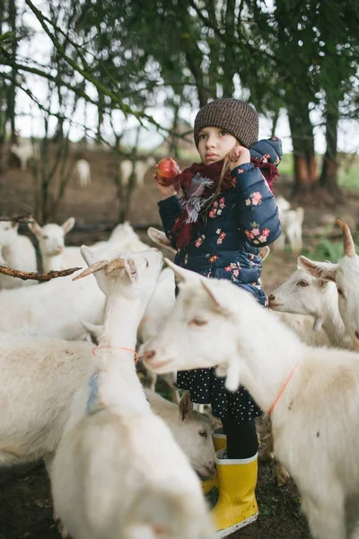 Kleine Kinder spielen mit Ziegen auf Käsefarm im Freien — Stockfoto