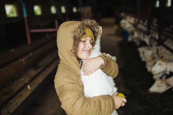 Kleiner Junge umarmt Ziege auf dem Ziegenkäsehof — Stockfoto
