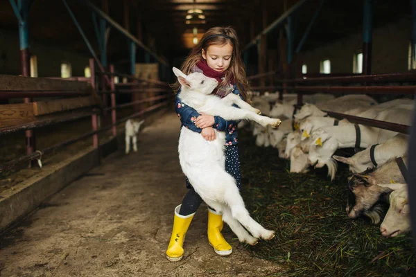 Niña abrazando cabra en la granja de queso de cabra — Foto de Stock