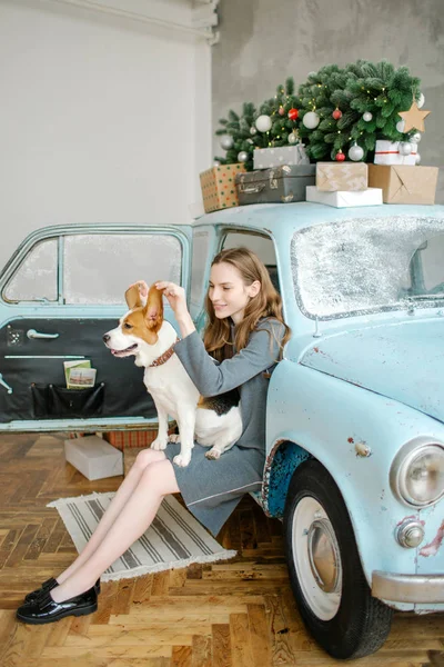 Junge Kaukasierin mit Beagle auf dem Schoß im Retro-Auto Stockfoto