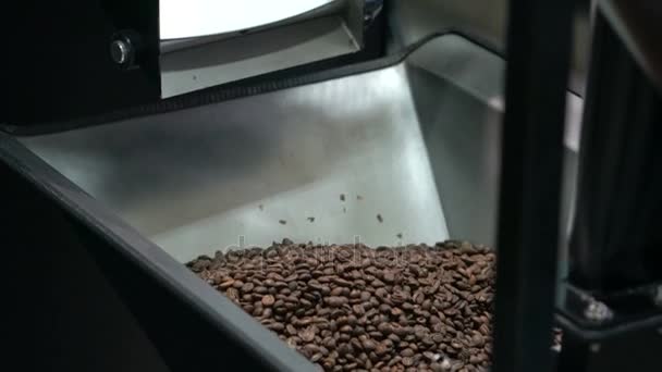 Rostade kaffe bönor i ett kafferosteri — Stockvideo