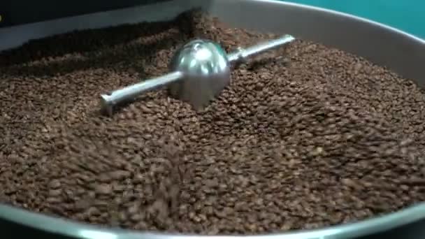 Roasted coffee beans in a coffee roaster — Stock Video