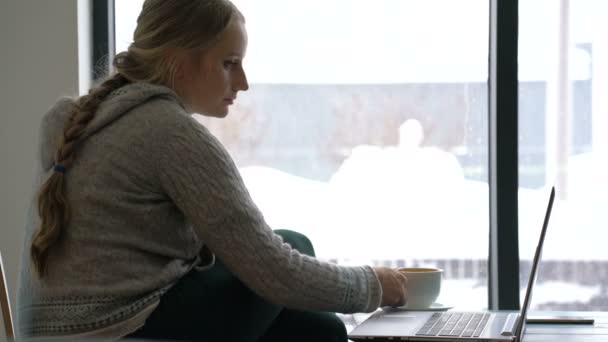 Mladá žena pracuje na notebooku v kavárně — Stock video