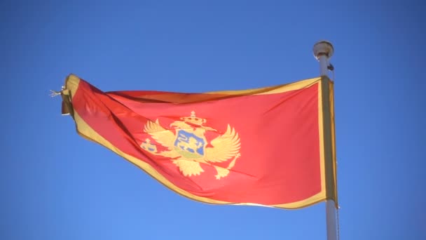 Montenegro bandiera che sventola sullo sfondo del cielo — Video Stock