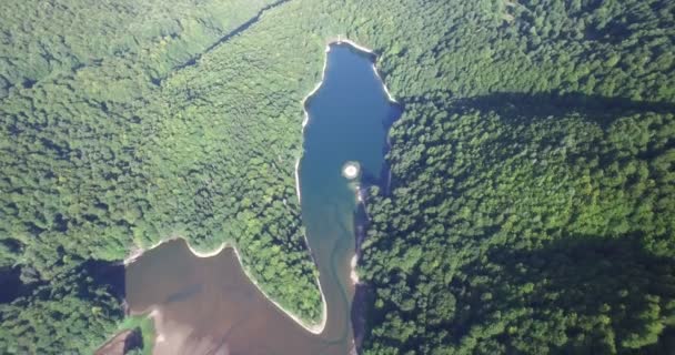 A légi felvétel a Biogradsko-tó, a Biogradska Gora nemzeti park-Montenegró — Stock videók