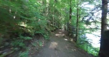 Göl kenarındaki orman patika