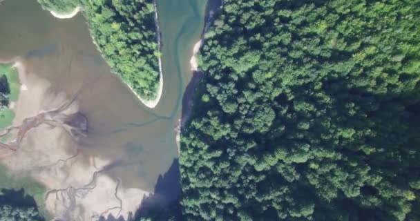 Vista aérea do Lago Biogradsko, parque nacional Biogradska Gora em Montenegro — Vídeo de Stock